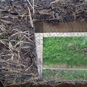 Grass protector