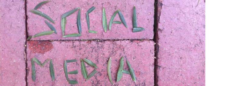 Social Media Blog Post Image