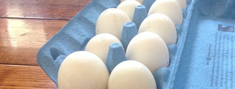 Store eggs in a carton