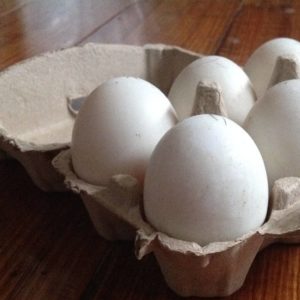 6 duck eggs