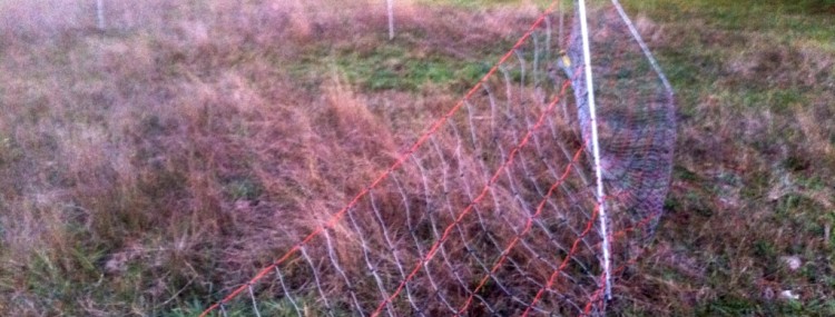 portable electric fencing 2