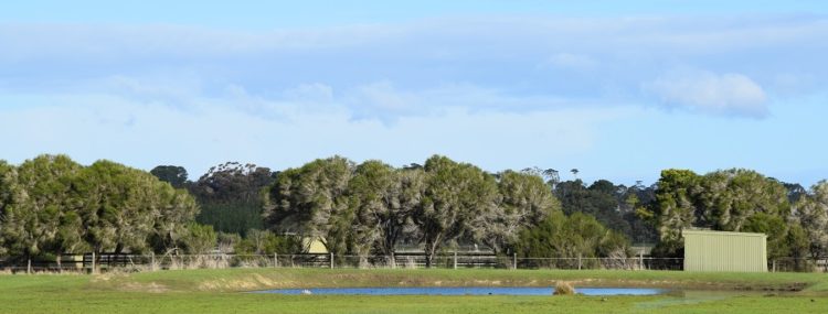Moorooduc property rear dam - new farm