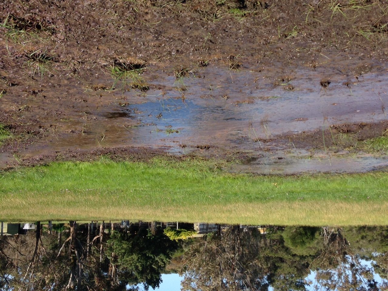 Permaculture Advice for Water Logging Heritage Farm