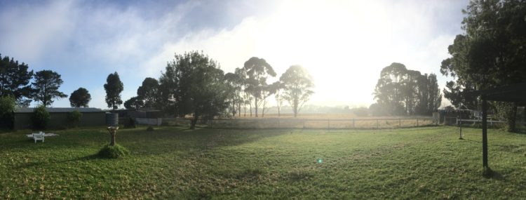 Heritage Farm Landscape