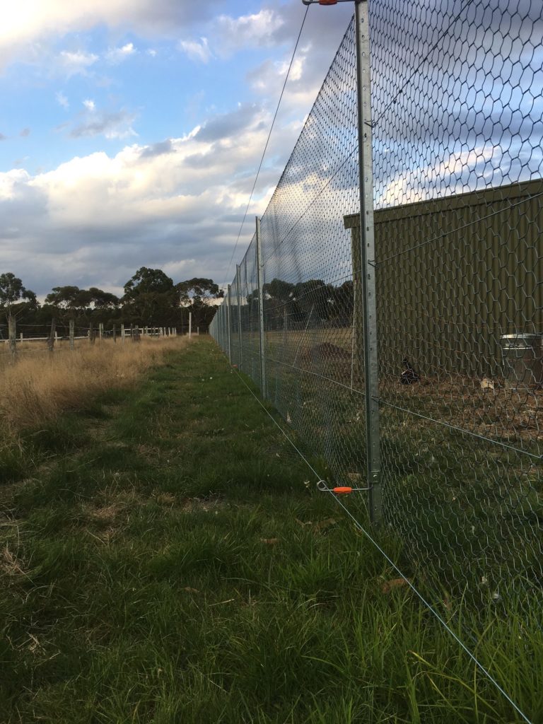 fox proof fence - electrified at the top and bottom