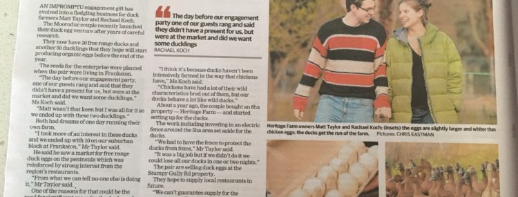 local newspaper featuring Heritage Farm ducks