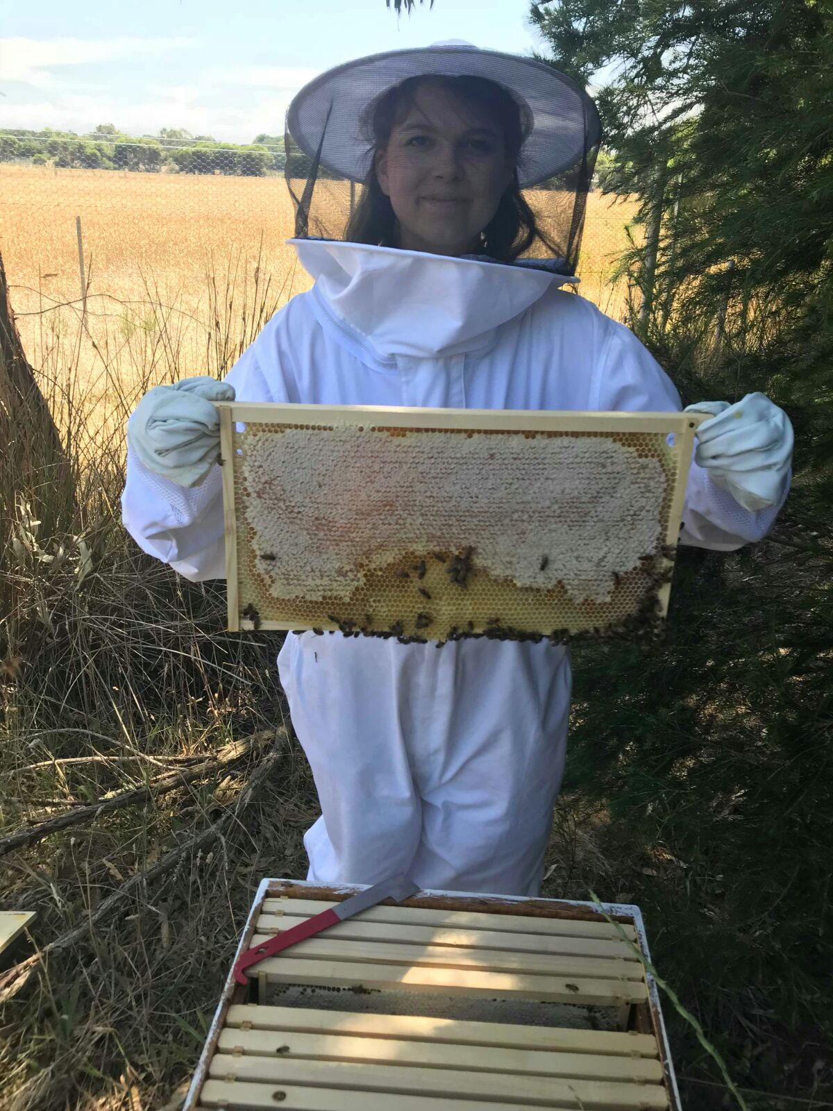 Lucy and her bees
