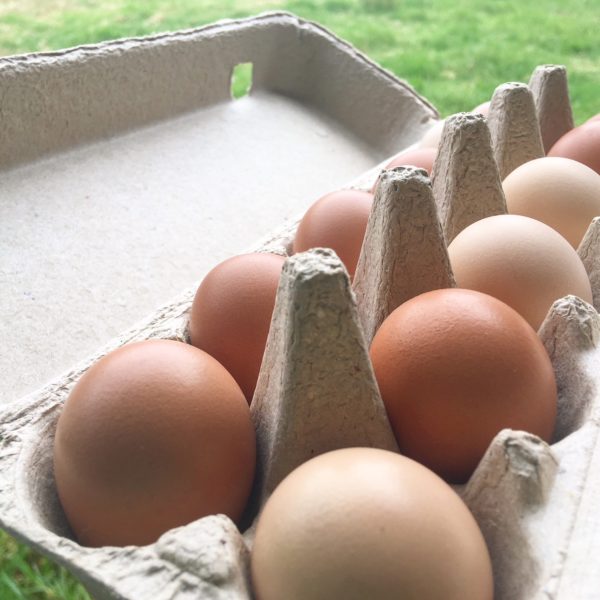 organic chook eggs