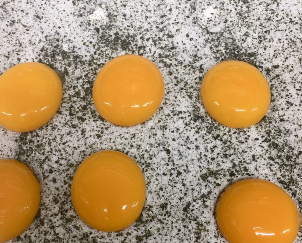 duck egg yolks at Polperro