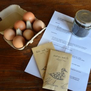 Grow your own egg heads kit organic alfalfa seed organic wheatgrass seeds