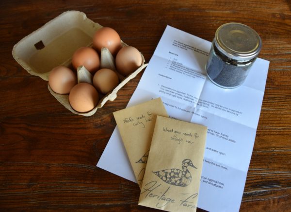 Grow your own egg heads kit organic alfalfa seed organic wheatgrass seeds