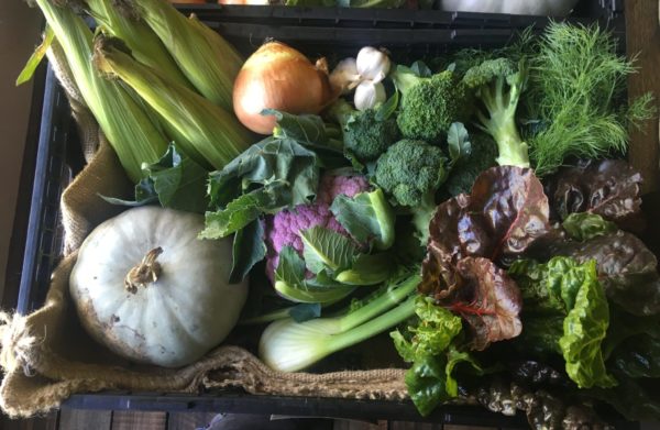 Organic Vegetable box