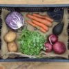 small organic vegetable box