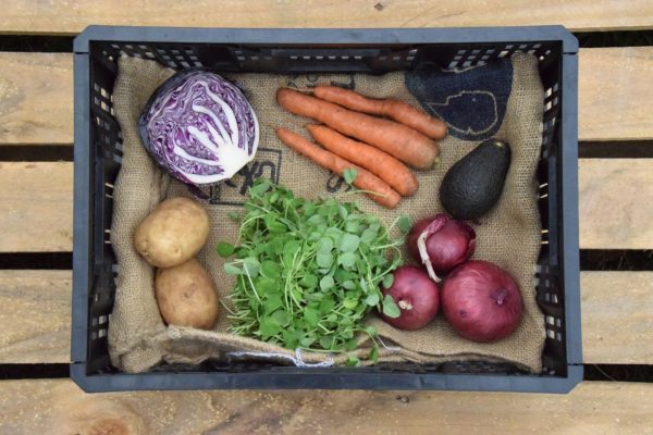 small organic vegetable box