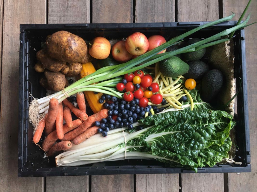 organic vegetable box crate